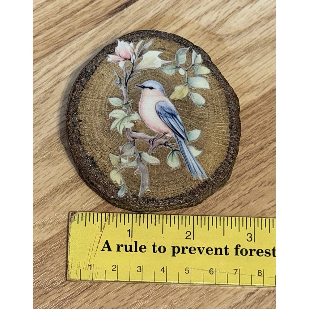 Set Of 4 Natural Oak Wood Bark Bird Magnets
